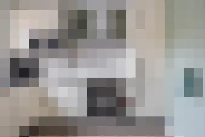 Everdonk 12 Breda thumbnail 32