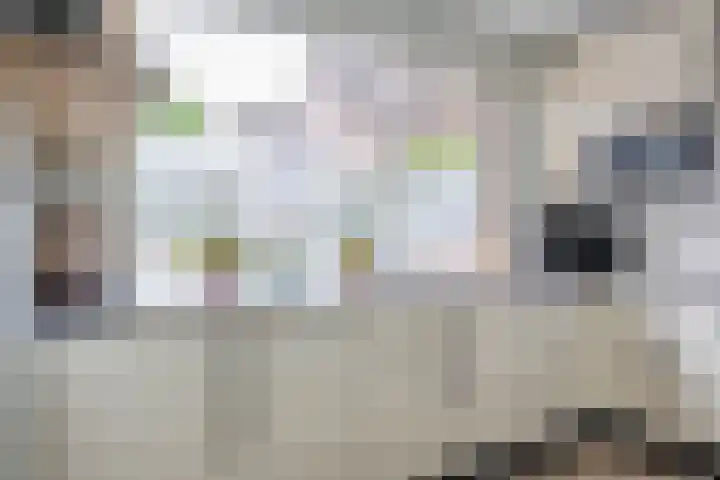 Everdonk 12 Breda thumbnail 34