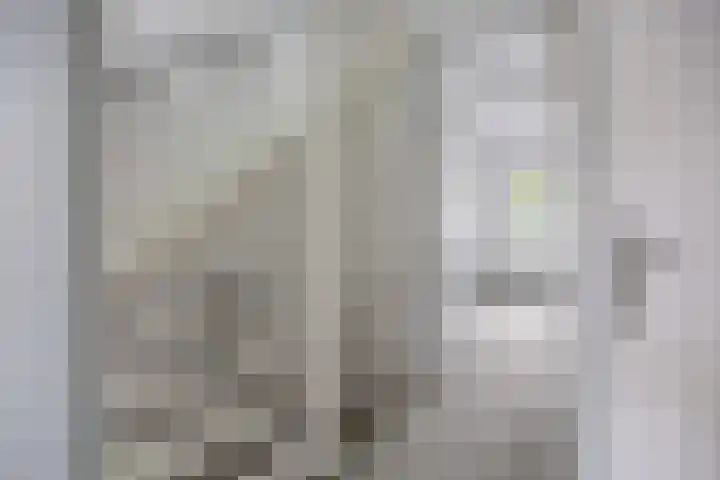 Everdonk 12 Breda thumbnail 38