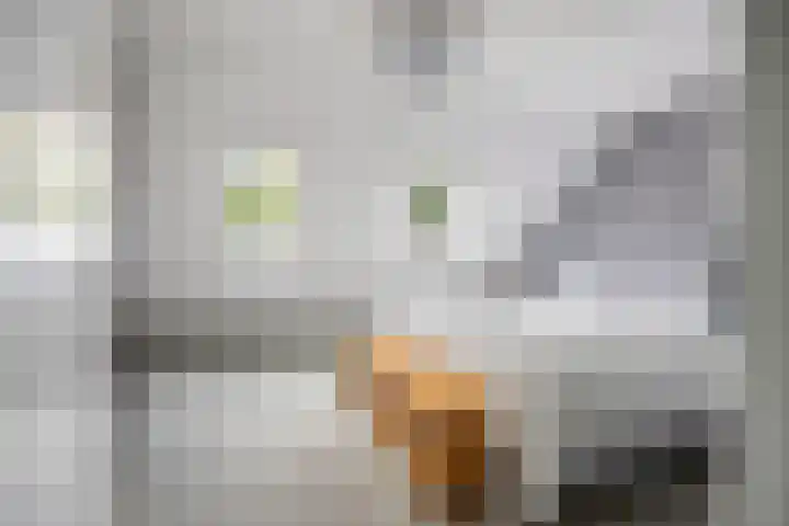 Everdonk 12 Breda thumbnail 40
