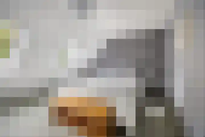 Everdonk 12 Breda thumbnail 42