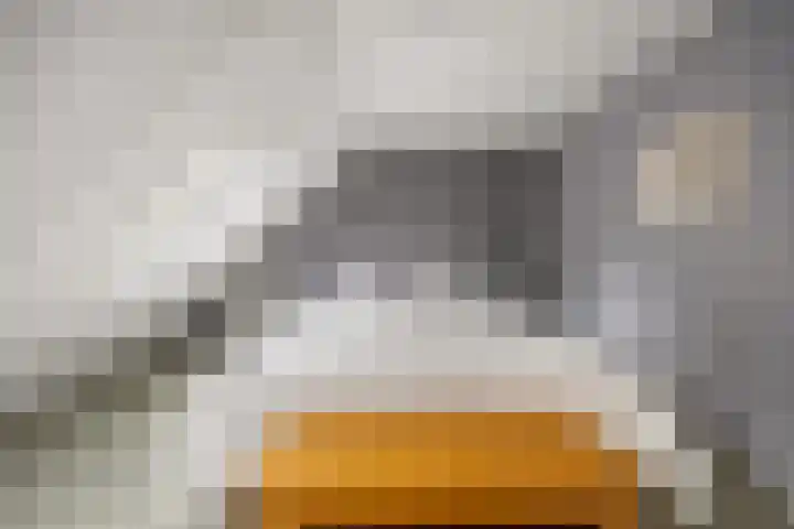 Everdonk 12 Breda thumbnail 43