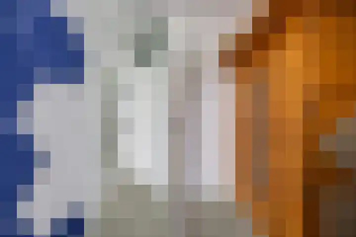 Everdonk 12 Breda thumbnail 48