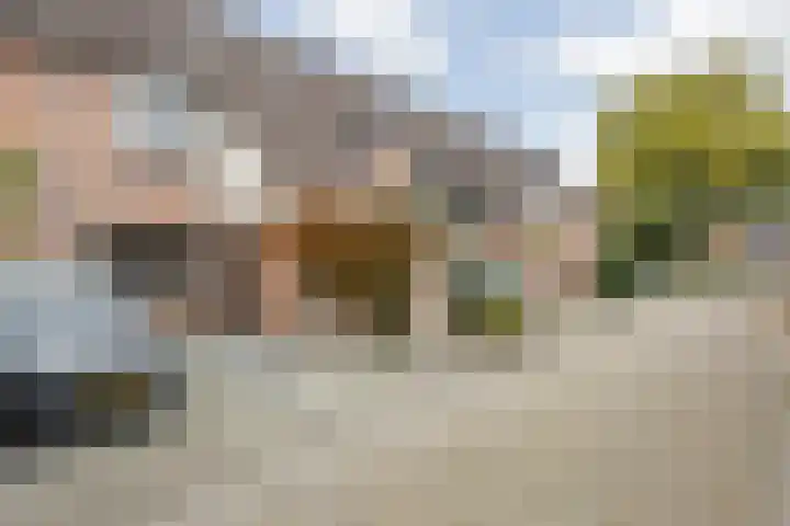 Everdonk 12 Breda thumbnail 6