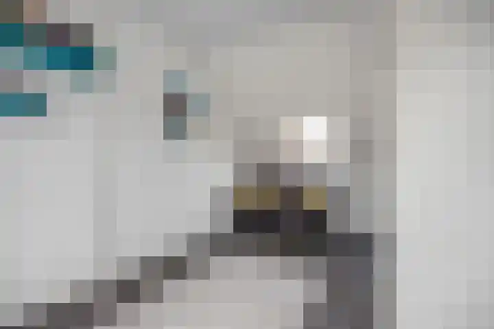 Everdonk 12 Breda thumbnail 60