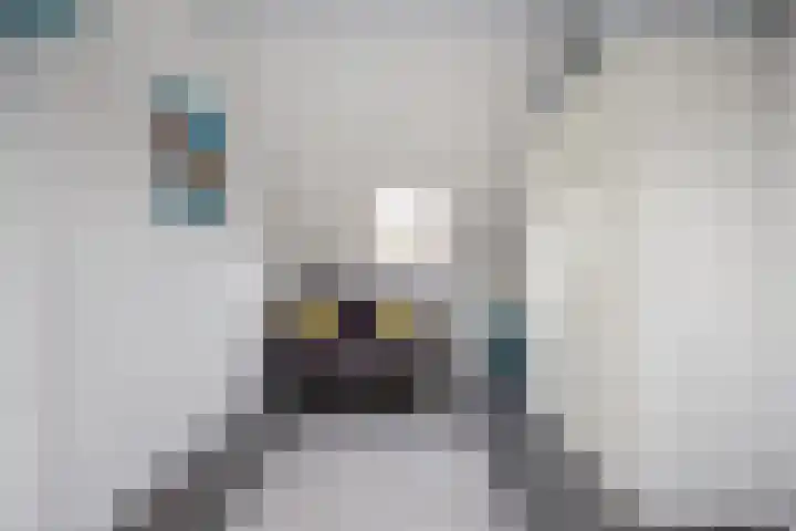 Everdonk 12 Breda thumbnail 61