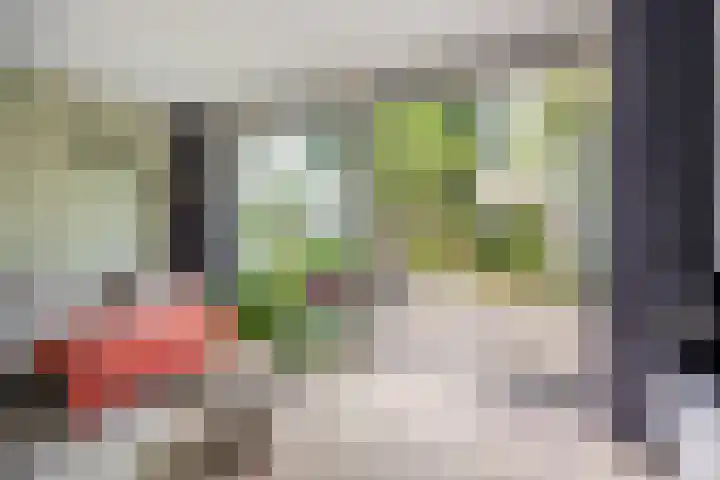 Everdonk 12 Breda thumbnail 65