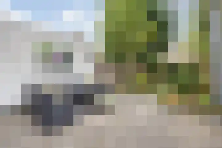 Everdonk 12 Breda thumbnail 66