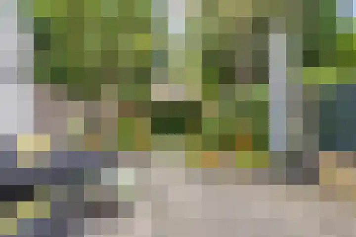 Everdonk 12 Breda thumbnail 67