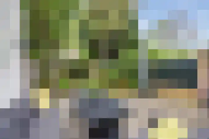 Everdonk 12 Breda thumbnail 68