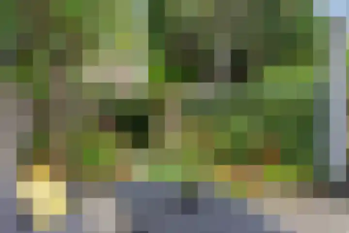 Everdonk 12 Breda thumbnail 69