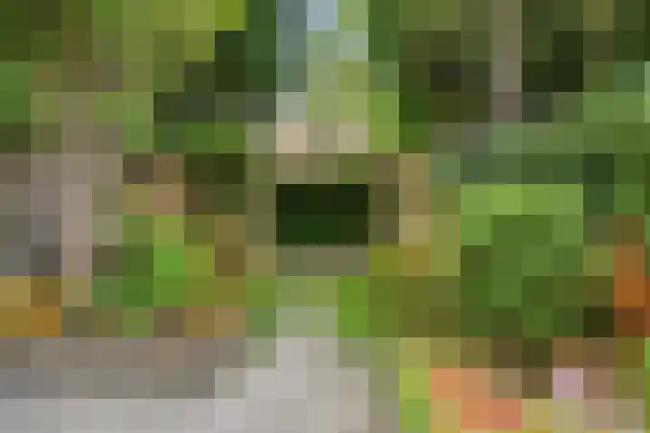 Everdonk 12 Breda thumbnail 70