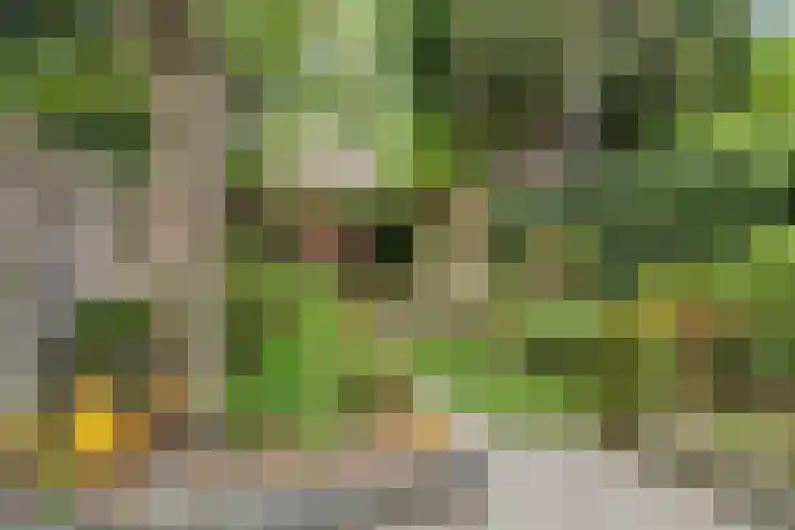 Everdonk 12 Breda thumbnail 71