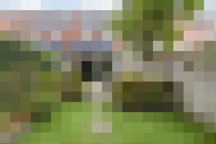 Everdonk 12 Breda thumbnail 72