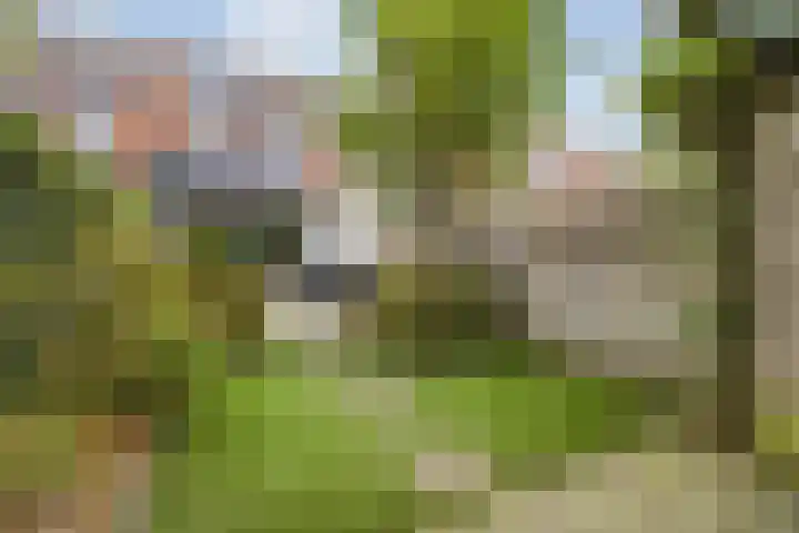 Everdonk 12 Breda thumbnail 73