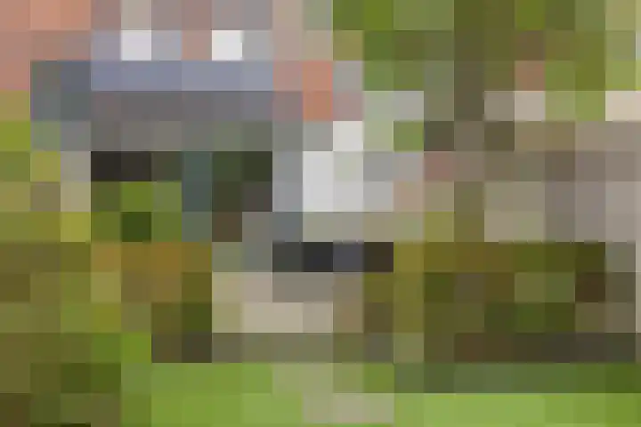 Everdonk 12 Breda thumbnail 74