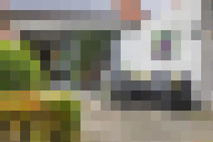 Everdonk 12 Breda thumbnail 75