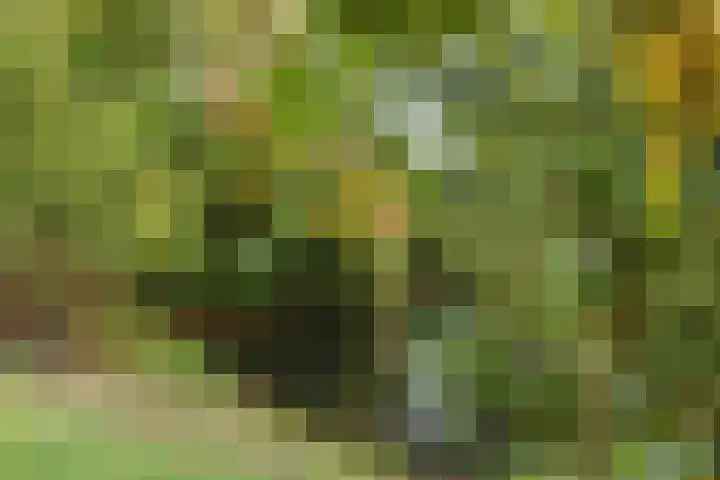 Everdonk 12 Breda thumbnail 76