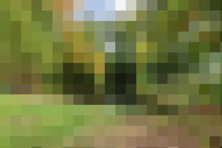 Everdonk 12 Breda thumbnail 77