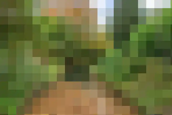 Everdonk 12 Breda thumbnail 78