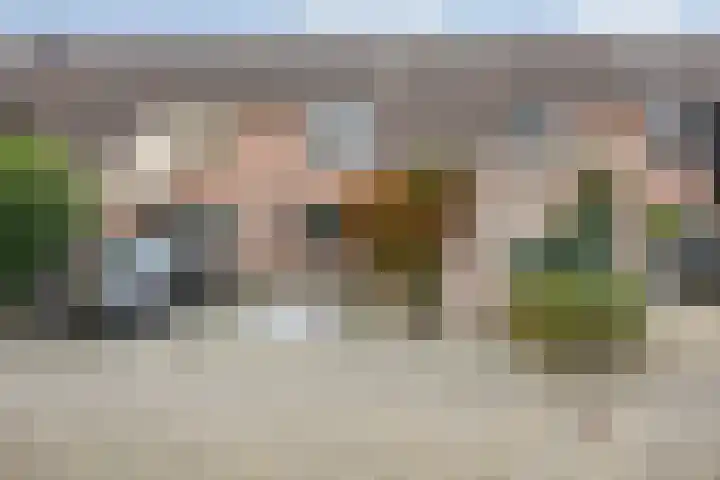 Everdonk 12 Breda thumbnail 8