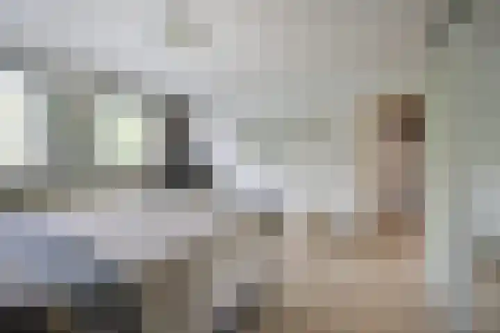 Everdonk 24 Breda thumbnail 24