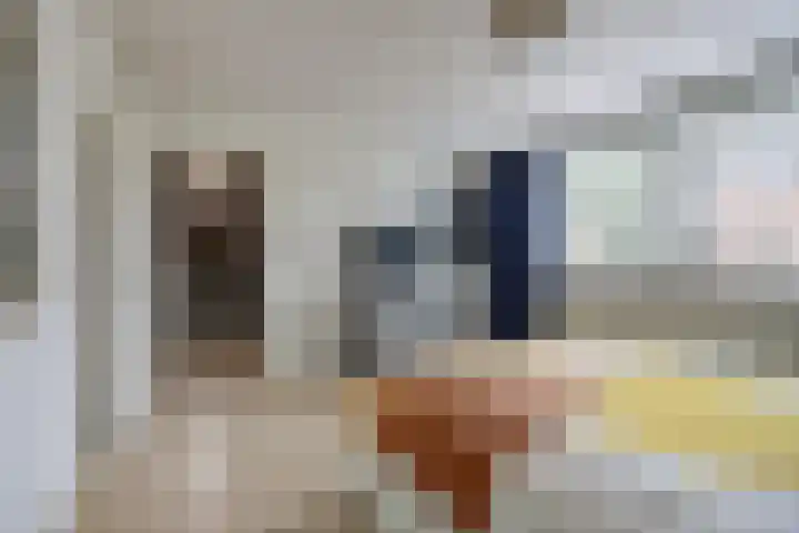 Everdonk 24 Breda thumbnail 26