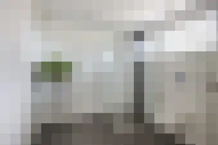 Everdonk 24 Breda thumbnail 30