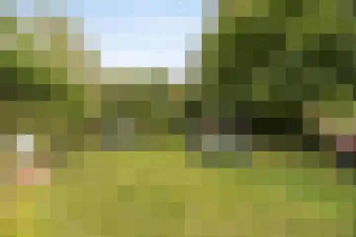 Everdonk 24 Breda thumbnail 36