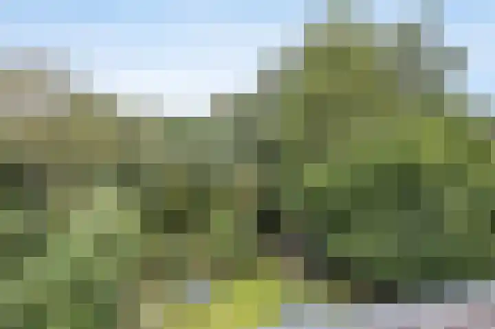 Everdonk 24 Breda thumbnail 38