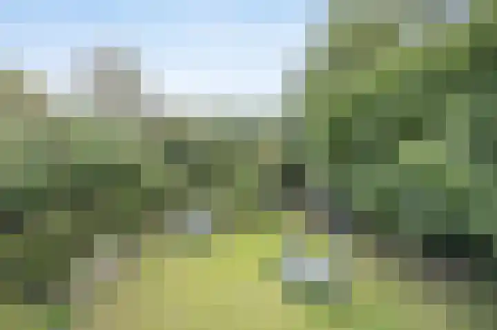 Everdonk 24 Breda thumbnail 39