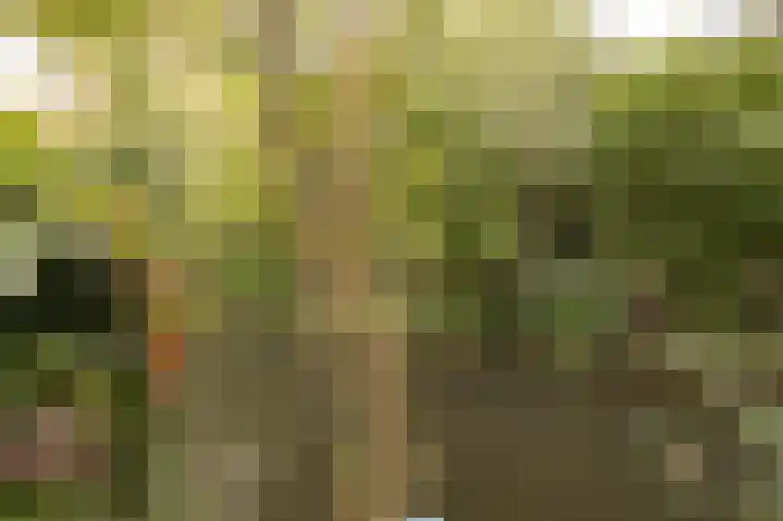 Everdonk 24 Breda thumbnail 40