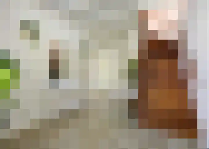 Everdonk 24 Breda thumbnail 6