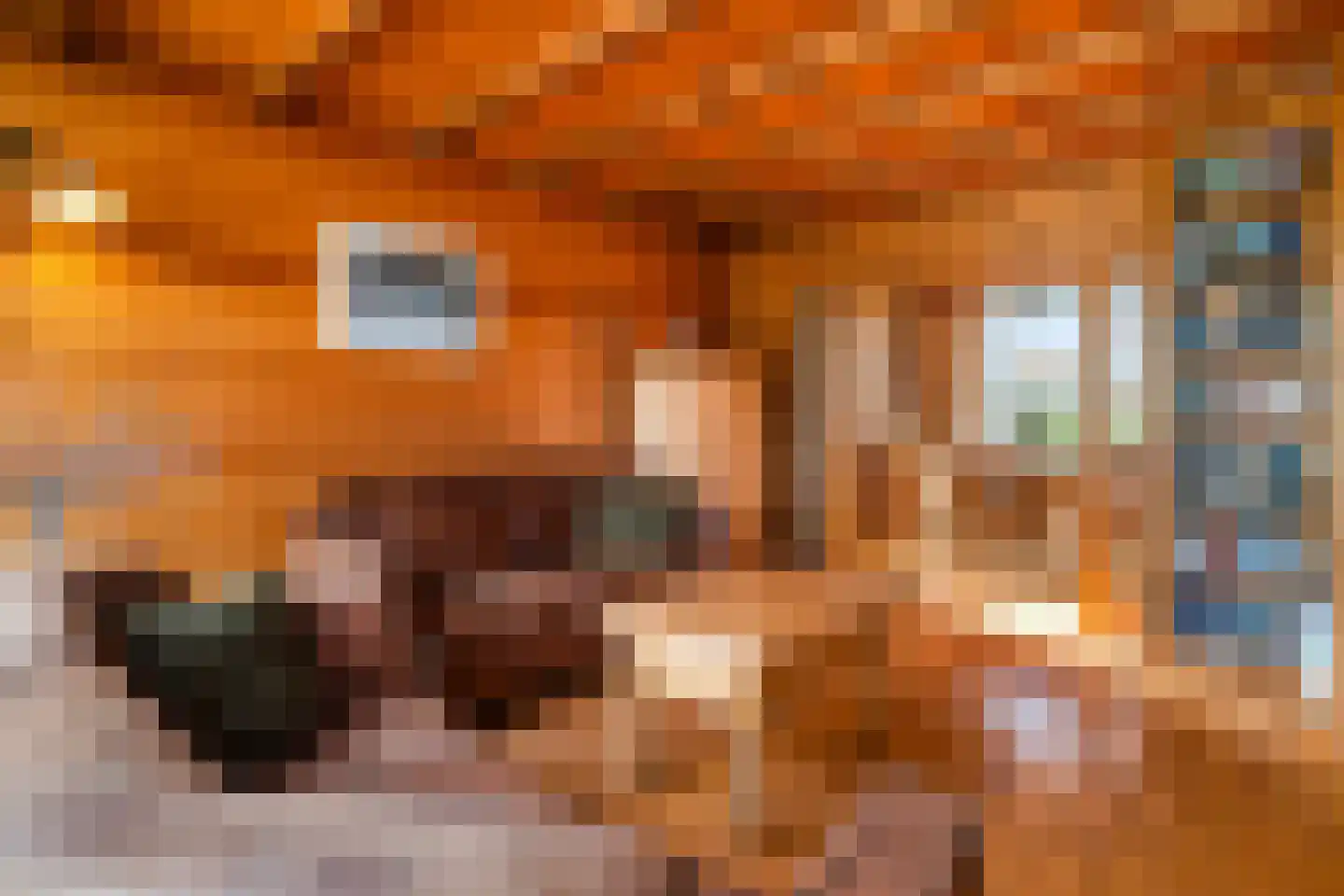 Everdonk 5 Raamsdonksveer thumbnail 10