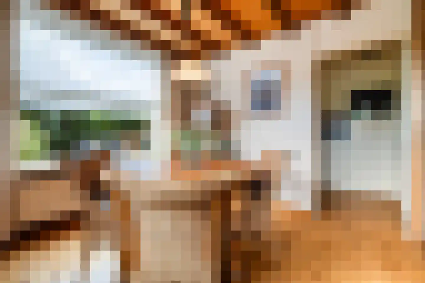 Everdonk 5 Raamsdonksveer thumbnail 12