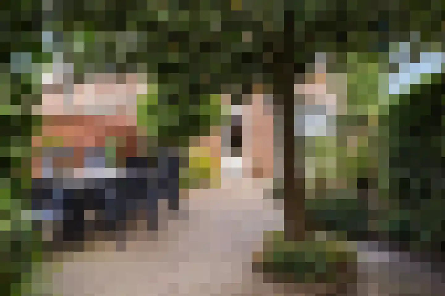 Everdonk 5 Raamsdonksveer thumbnail 16