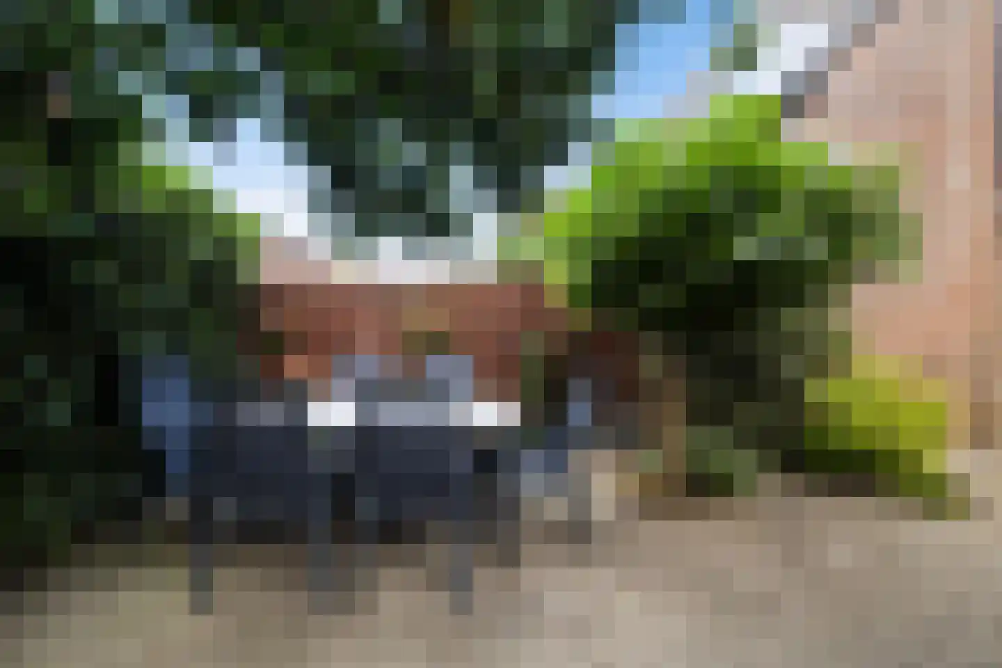 Everdonk 5 Raamsdonksveer thumbnail 18