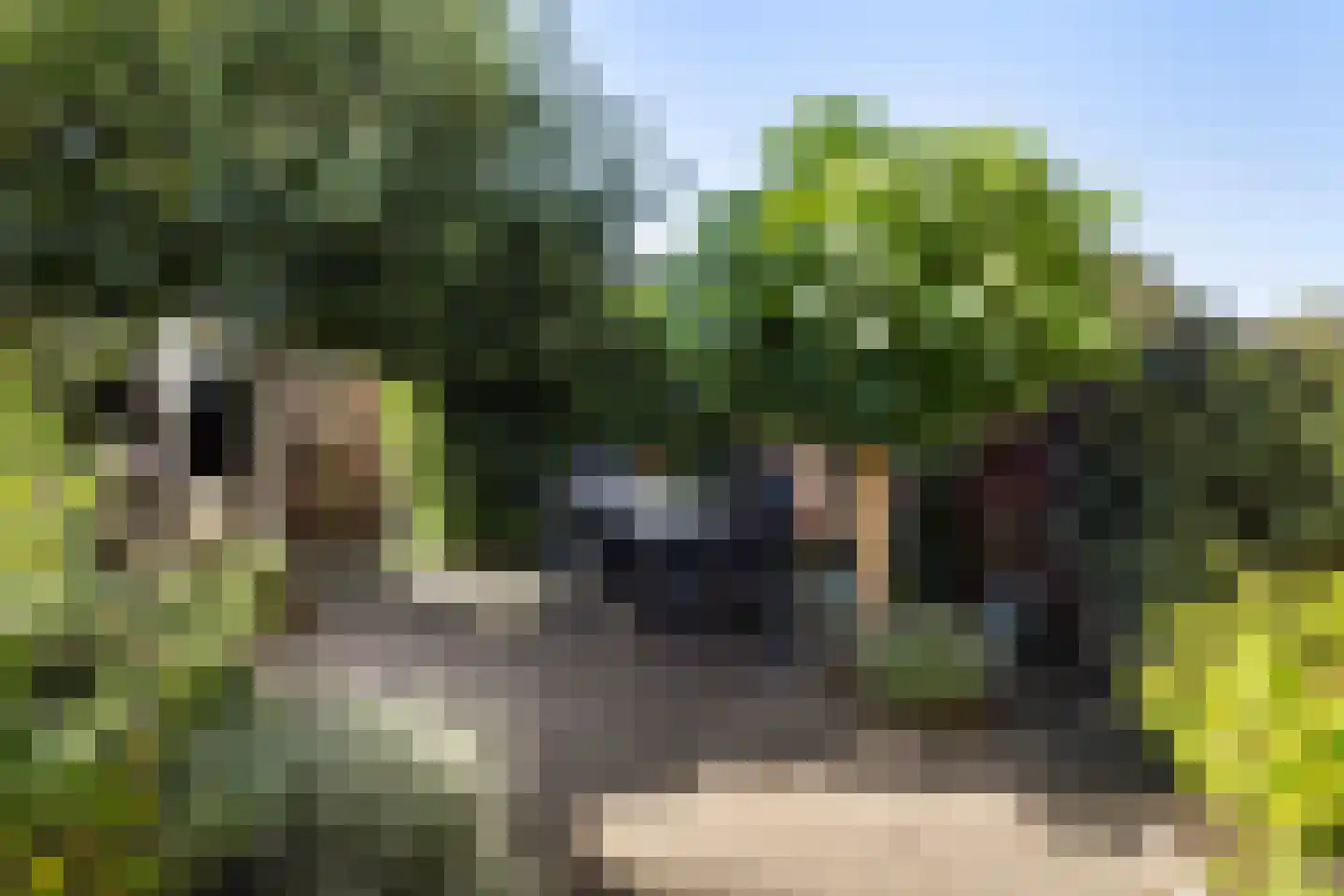 Everdonk 5 Raamsdonksveer thumbnail 19