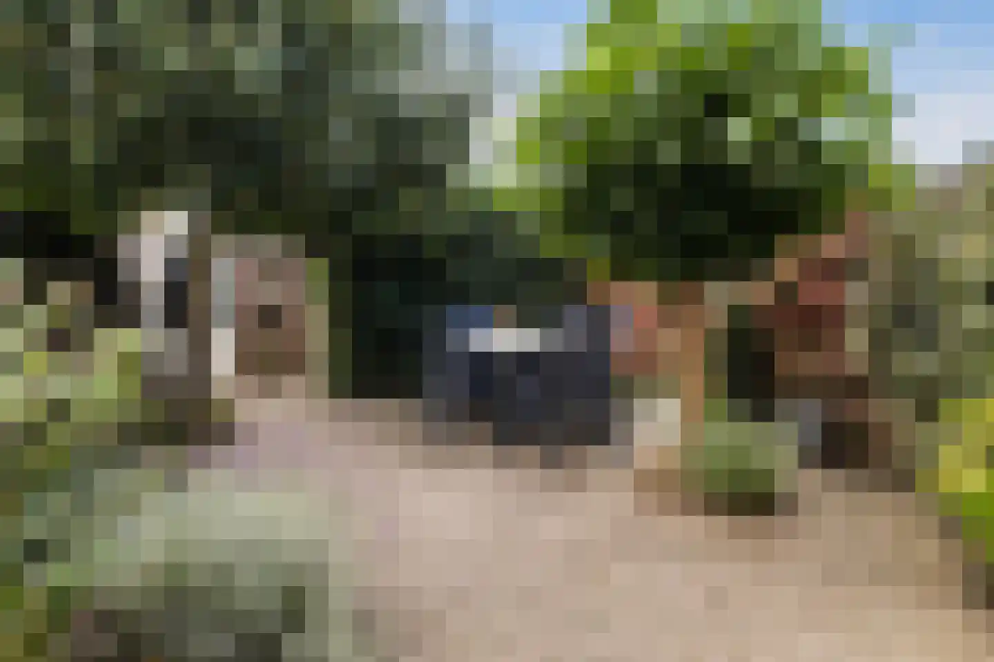 Everdonk 5 Raamsdonksveer thumbnail 19