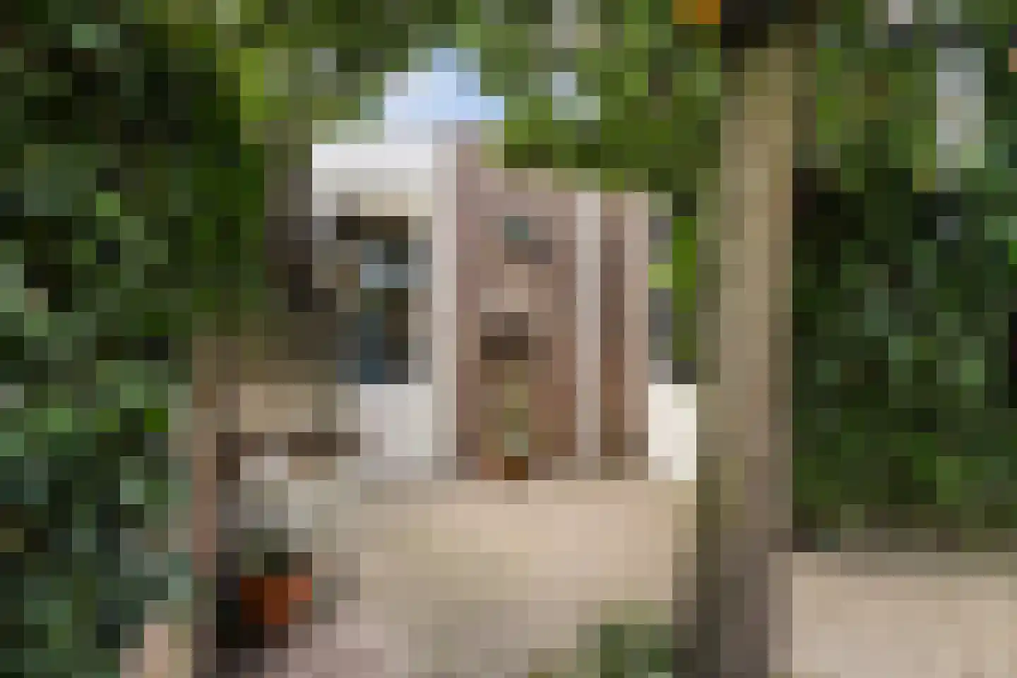 Everdonk 5 Raamsdonksveer thumbnail 20