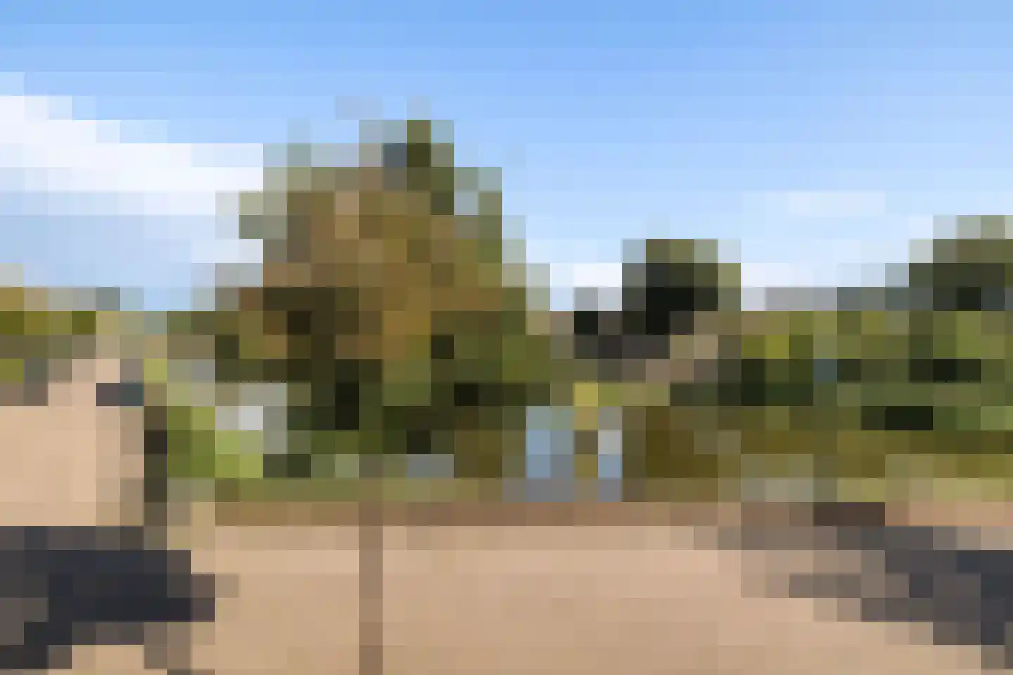 Everdonk 5 Raamsdonksveer thumbnail 39