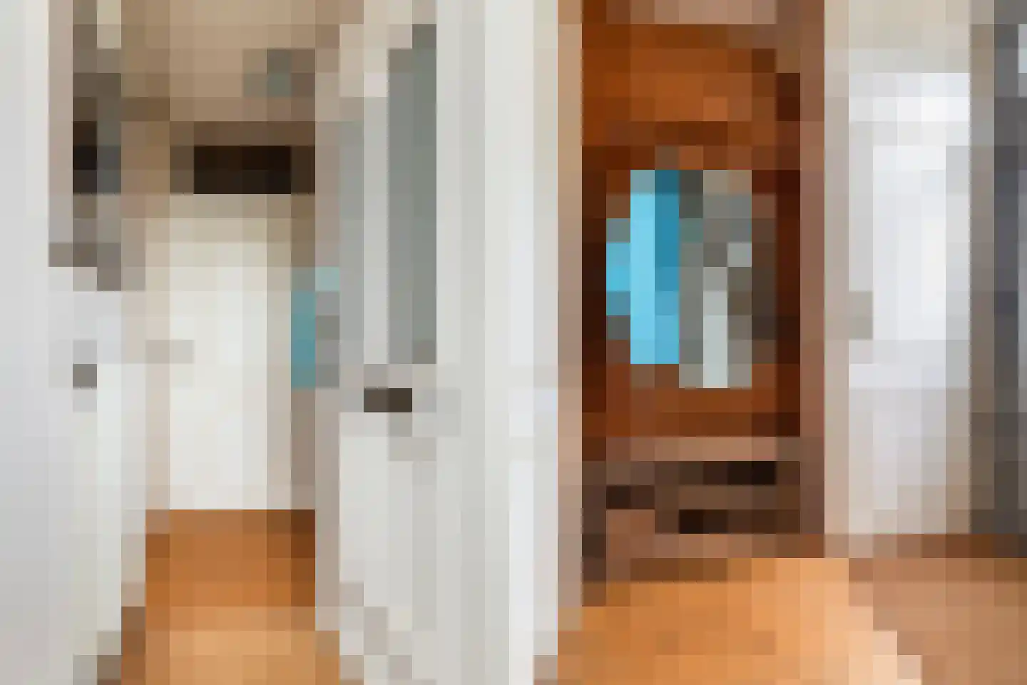Everdonk 5 Raamsdonksveer thumbnail 4
