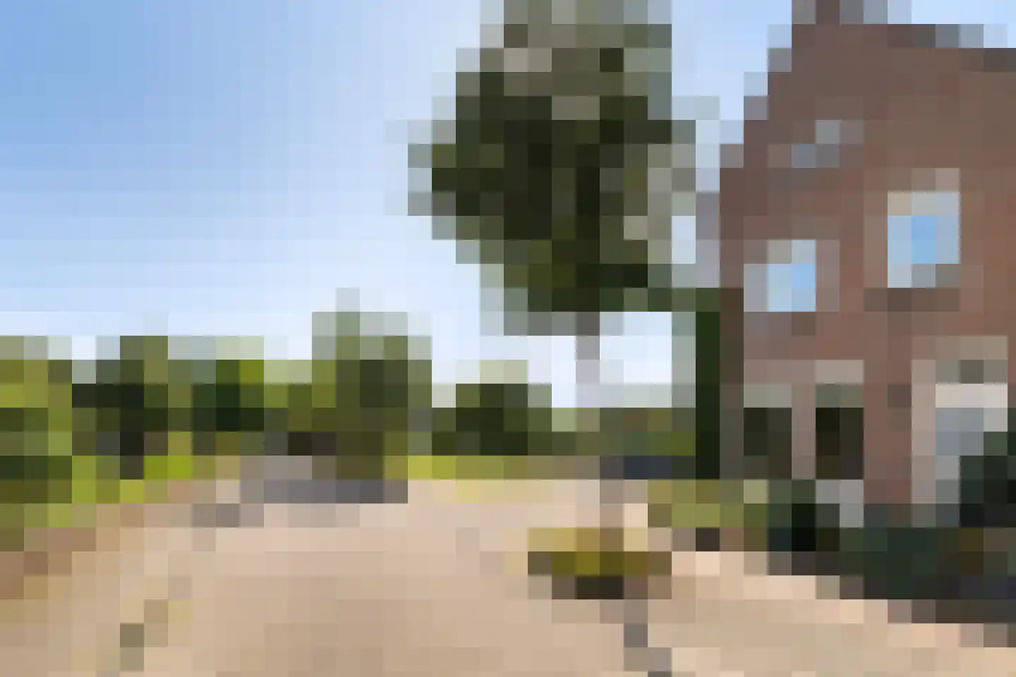 Everdonk 5 Raamsdonksveer thumbnail 5