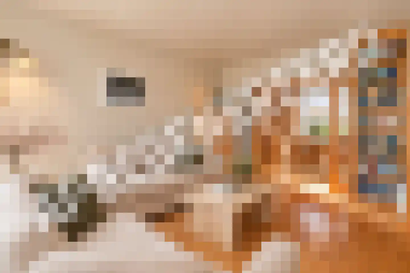 Everdonk 5 Raamsdonksveer thumbnail 8