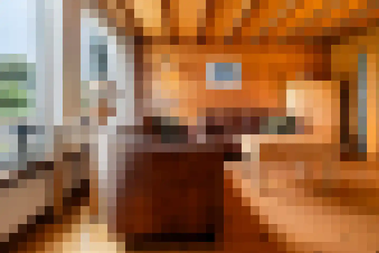 Everdonk 5 Raamsdonksveer thumbnail 9