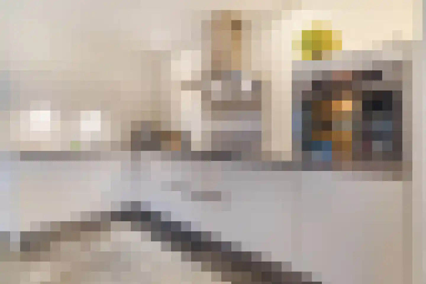 Everdrift 17 Cuijk thumbnail 22