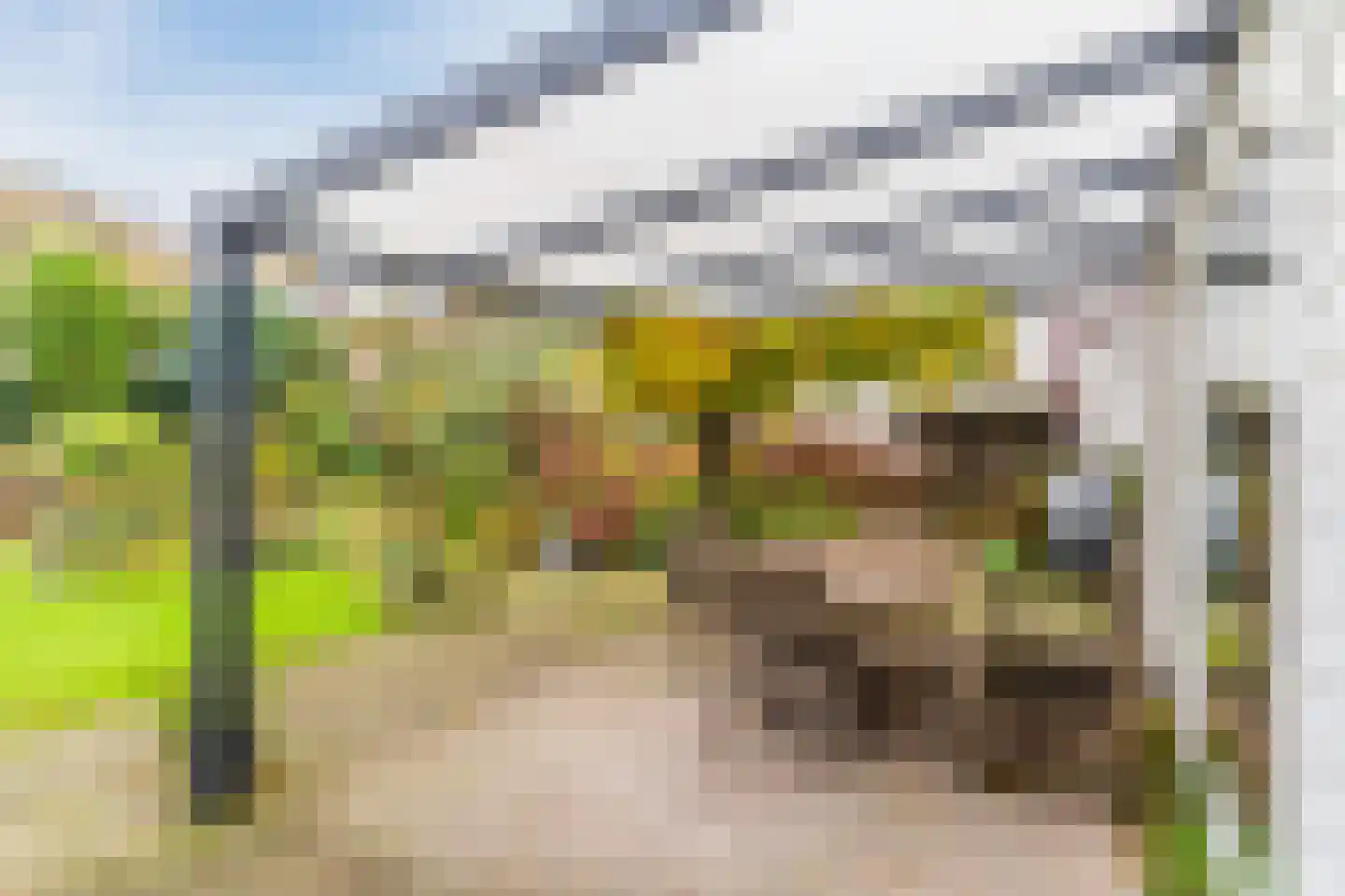 Everdrift 17 Cuijk thumbnail 38