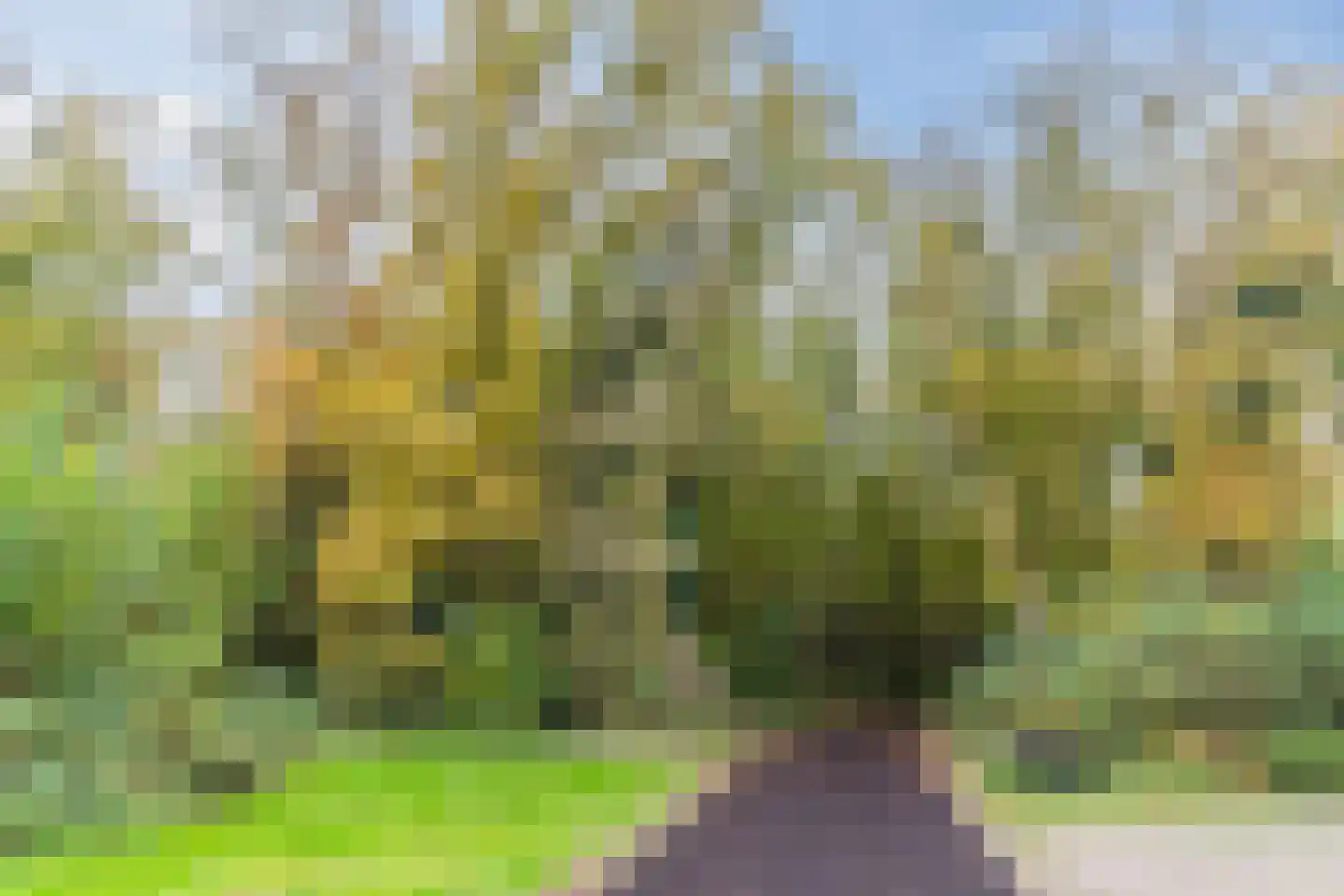 Everdrift 17 Cuijk thumbnail 42