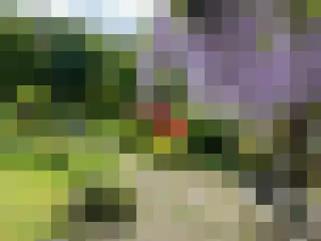 Everdrift 17 Cuijk thumbnail 8