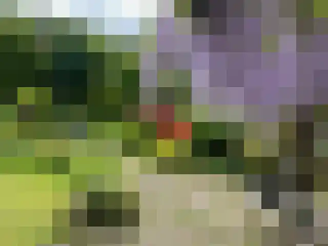 Everdrift 17 Cuijk thumbnail 8